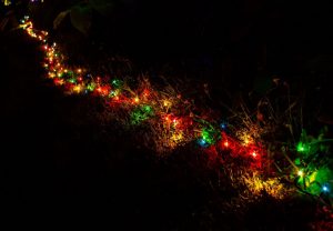 solar light in christmas tree