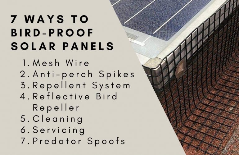 Bird-Proofing Solar Panels