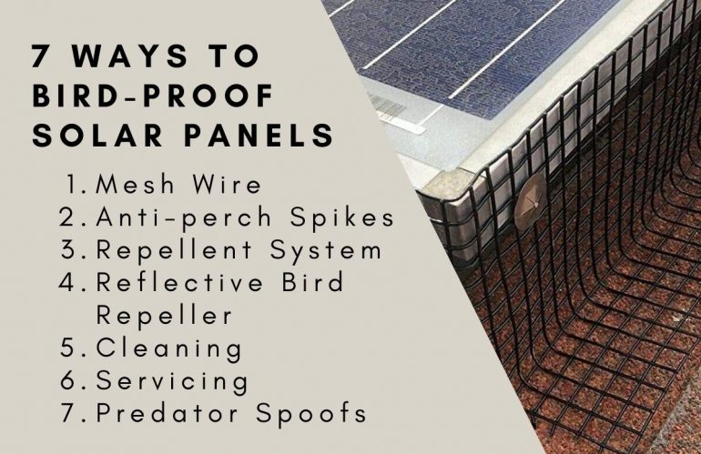 Bird-Proofing Solar Panels – Bid Farewell to Your Little Buddies