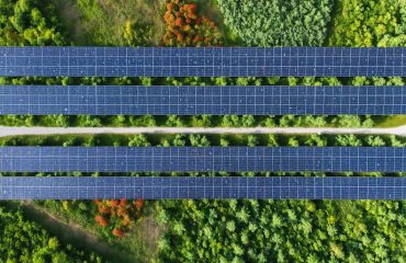 Aerial view of a solar farm merging with its natural surroundings, featuring wildlife-friendly corridors and colorful wildflowers that promote ecological balance and support local biodiversity.