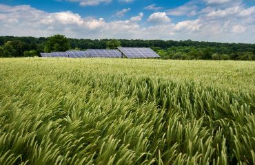 Image 1 from Google Doc